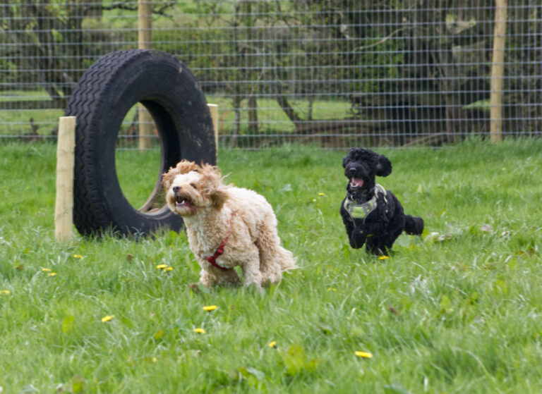 2072 f7a91ac4da29d57f14baaa0e483699cd 1 768x559