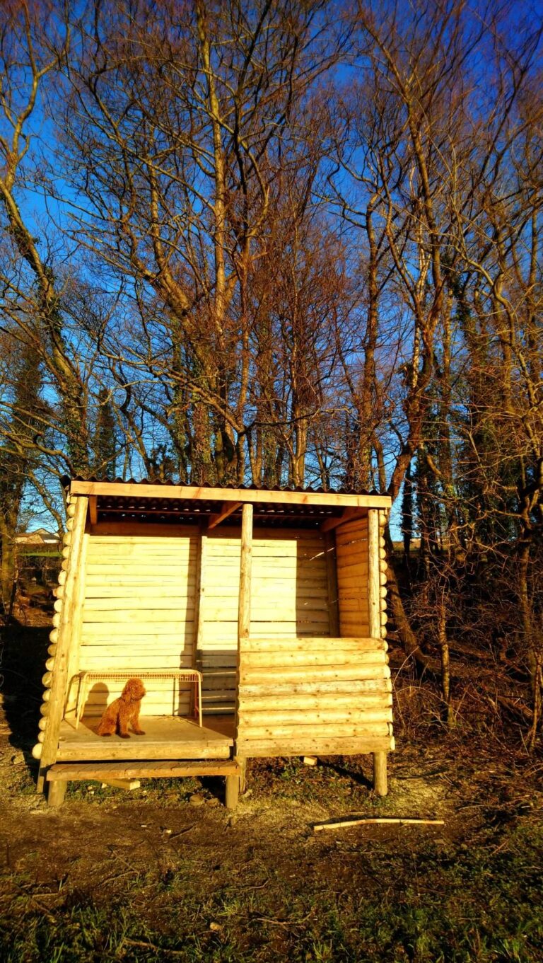 2073 21f5ec771751345264e010eb62512bf8 1 768x1361