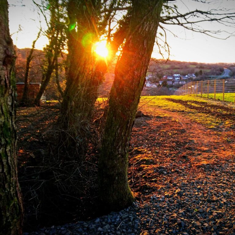 2073 2f568114867bcb1ccbb16884d3b608bc 1 768x768