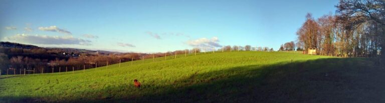 2073 dff82cf560d6a56c45845dc8cc31d597 1 768x206