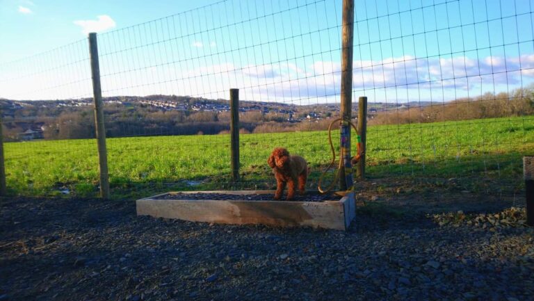 2073 f8bf9ec228f850a2c104a37ef8605b1b 1 768x433