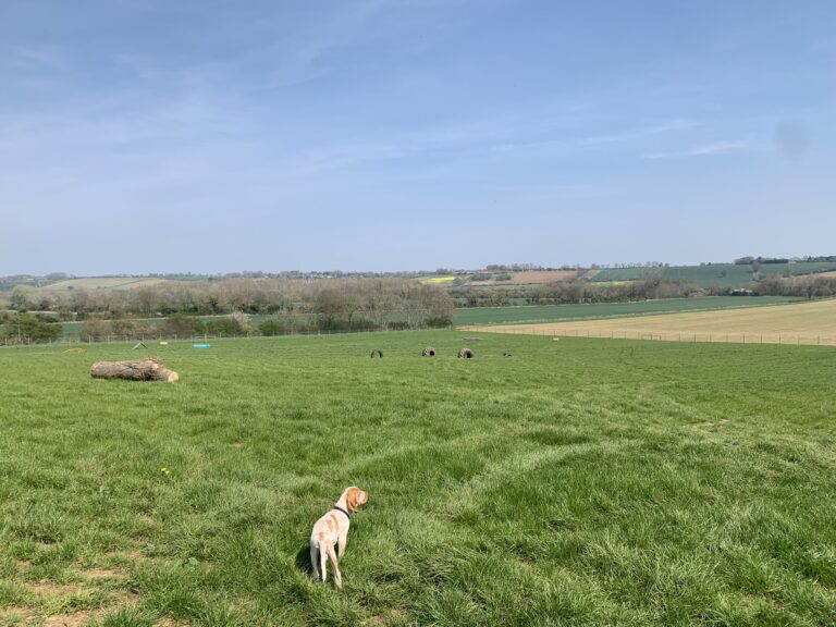 2077 61c46f8471f4c7090ede5ecf4c87bb95 1 768x576