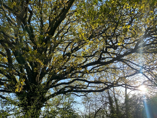 2078 5cd5db5678f8c97f525a39a8dd2c5b22 1