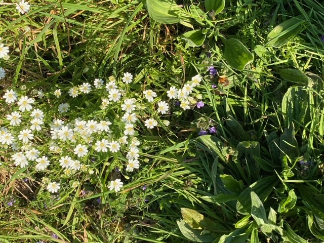 2078 6aa8e8ae4d0a578e1c6e4071271571f6 1