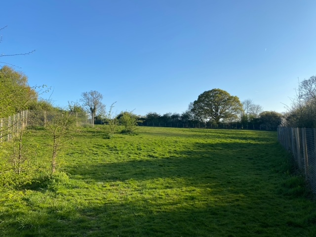 2078 8b7cd8661f4165a74f225f7ef090a0ff 1