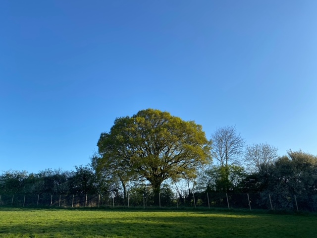 2078 a20988f69530179a6ebf753c05dfe946 1