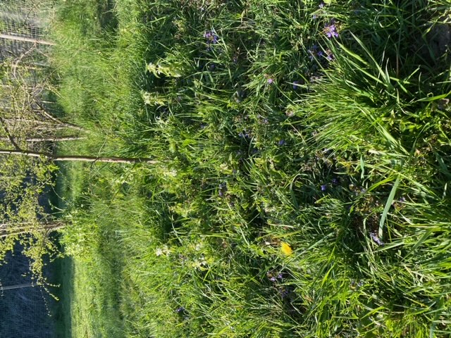 2078 cb24fef6fca679c16d81cc347cc02e13 1