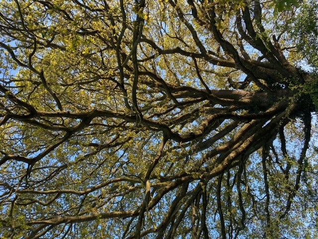 2078 e12a41cc33e341123b317202ee38aff4 1