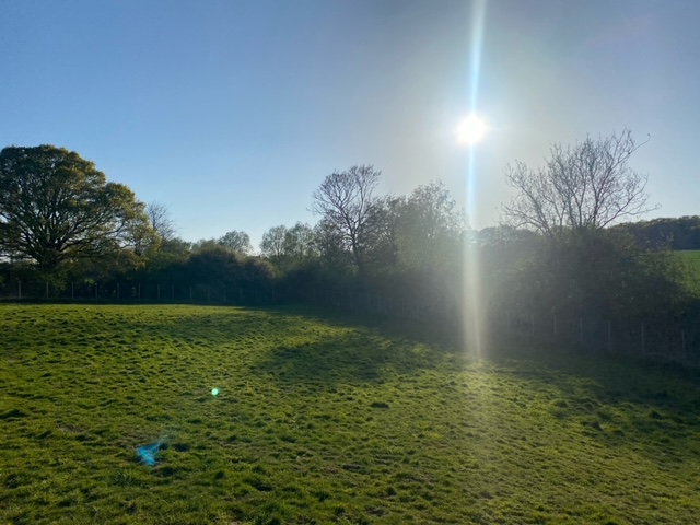 2078 fde7146d73fc45b84293e19261da0f86 1