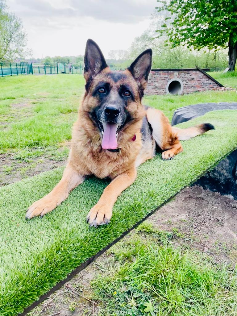 2080 06ee75a7bd3af4e7ac84da875297dbce 1