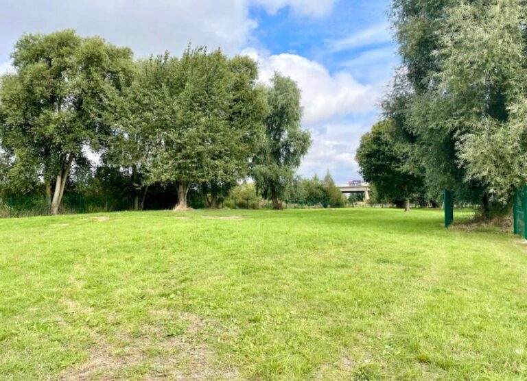 2080 44cd35e91b5c5990d8be0867b9cebd11 1 768x556