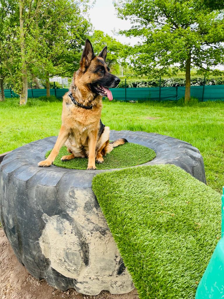 2080 b5e519b09a1c7b23d6ec05f72e5e2ebb 1