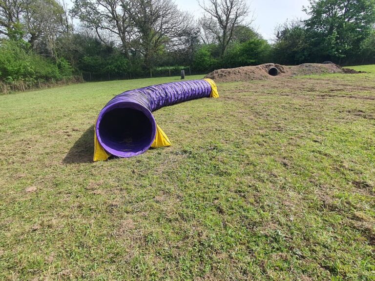 2081 158c262d1ff3c4eff2f36b1756a194e6 1 768x576