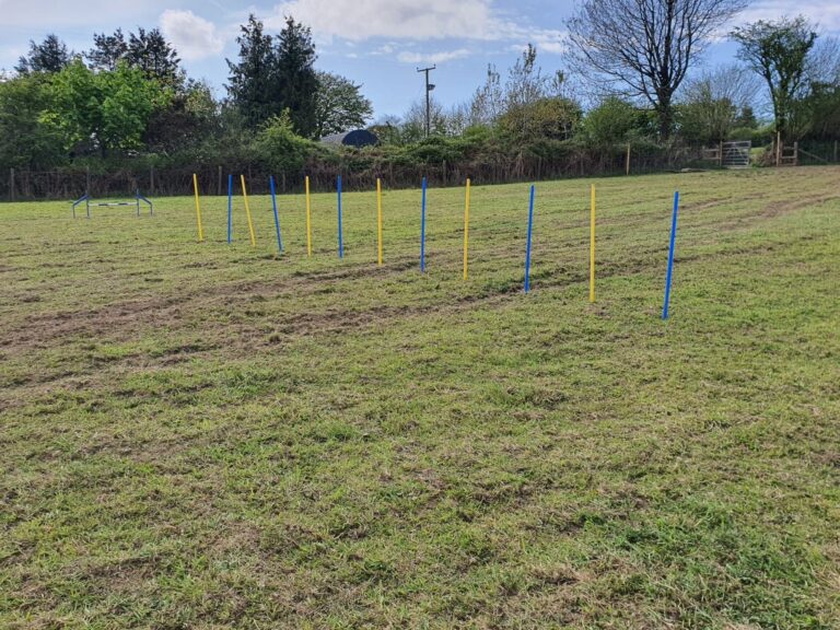 2081 67c73aaa51e96cecc6e842404b8e1e89 1 768x576