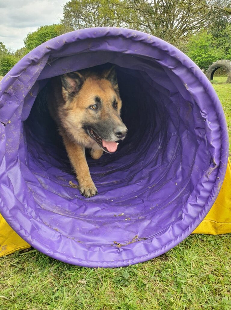 2081 7be3fb40c1c3d4074cbcc9966f9e7464 1 768x1029