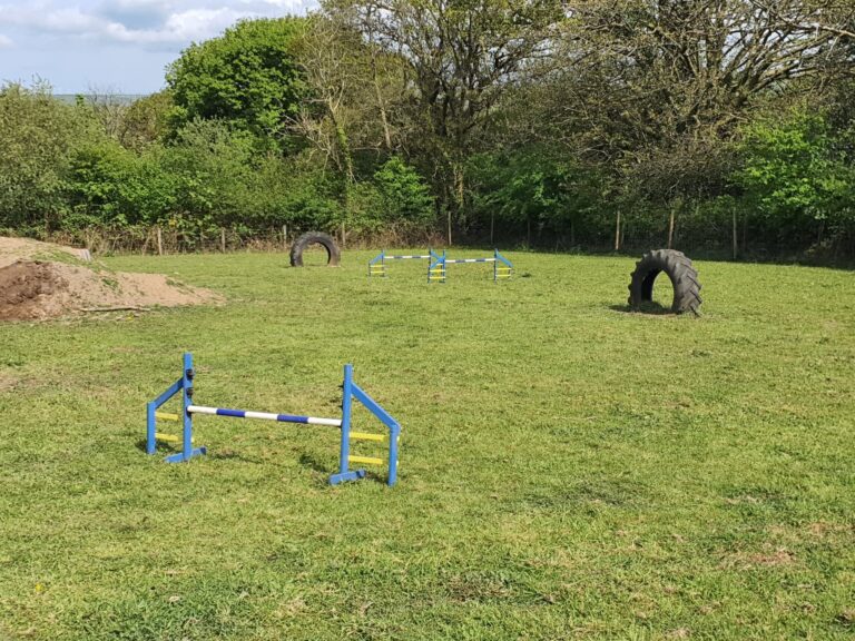 2081 9452937185c8a50e1de0beb5113f4764 1 768x576