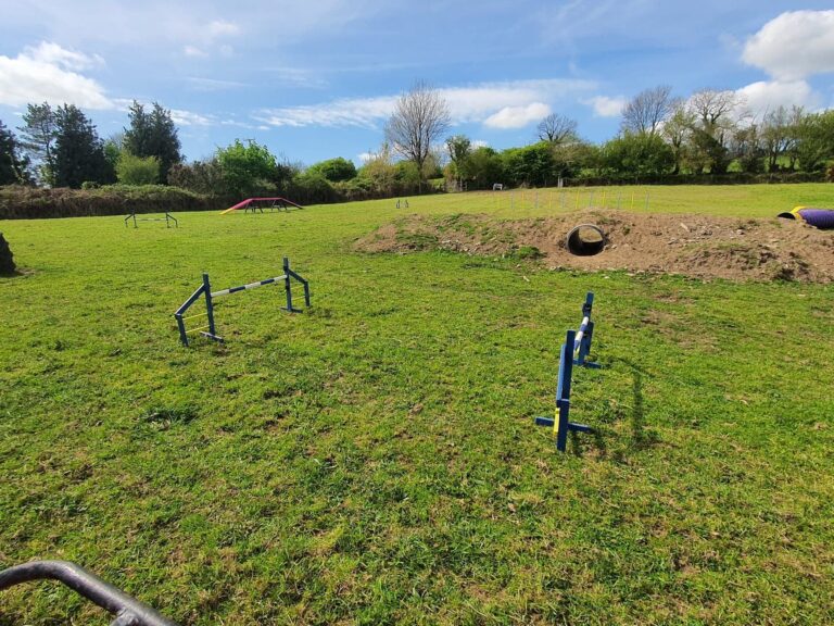 2081 c7c44817aecc229d7c859244999e5e57 1 768x576