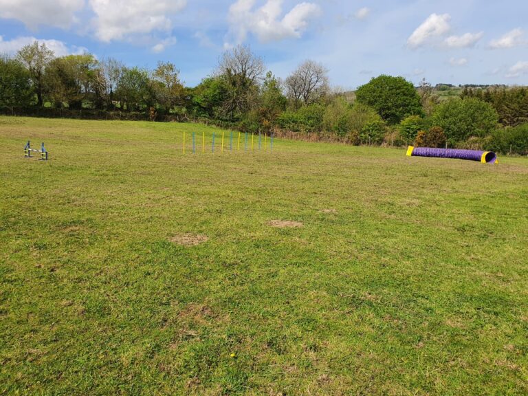 2081 e8926c7a6a2ffff36a021a37067a1e78 1 768x576