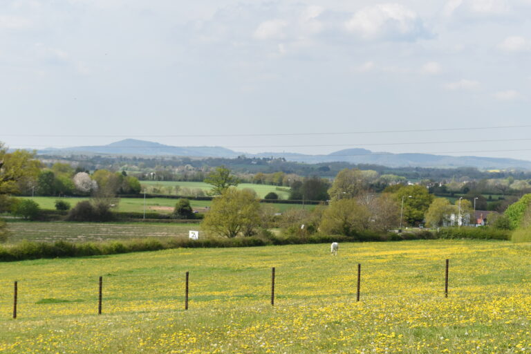 2082 27acabef4ca4c62e7976e0825374c3ae 1 768x512