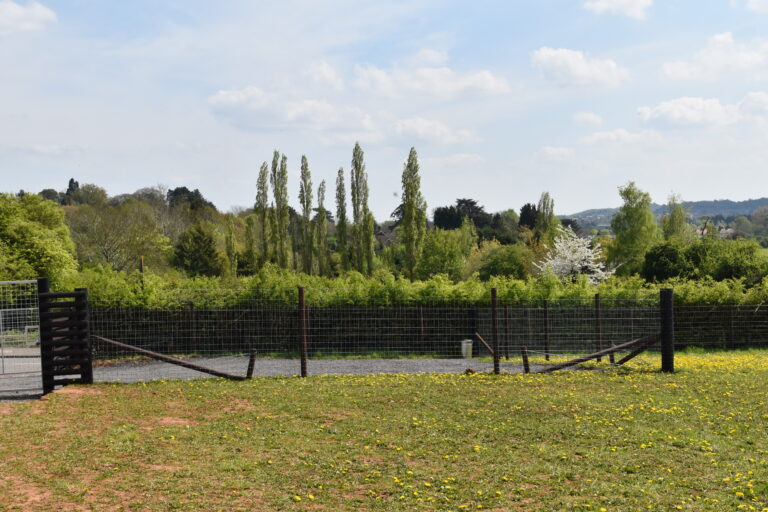 2082 8f1b64b99f75a41a84615921e3e471e6 1 768x512