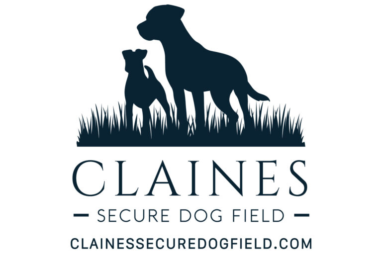 2082 a0395d3e15e25a93abfc9eb30cac956f 1 scaled 768x543