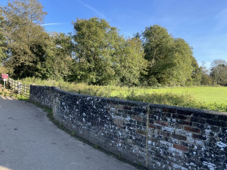 2083 6d908f76f9e502e3072fcde88e58581e 1 768x576