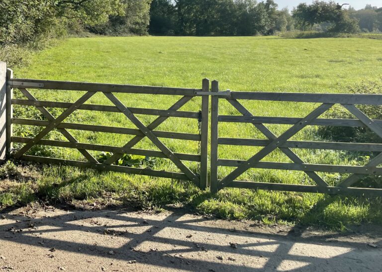 2083 85429cc87428449cb311a0f5c19278ee 1 768x548