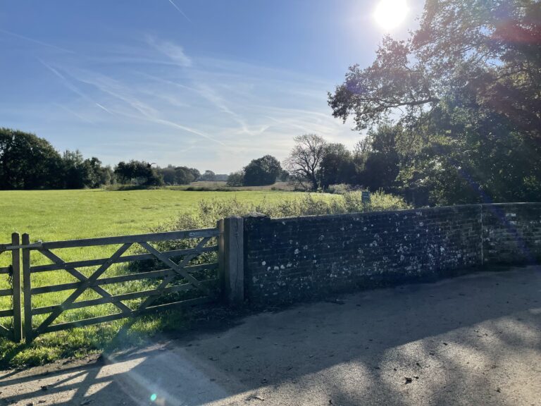 2083 d1db191e919c8c67e144d6e915e80339 1 768x576