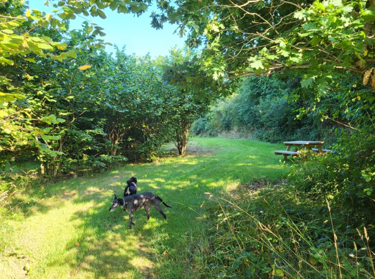 2084 0c7003114ac7eb1ad162559a957caaa8 1 768x573