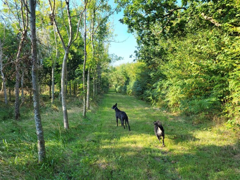 2084 0e3eb066117a0009fe3fa609fc802b30 1 768x576