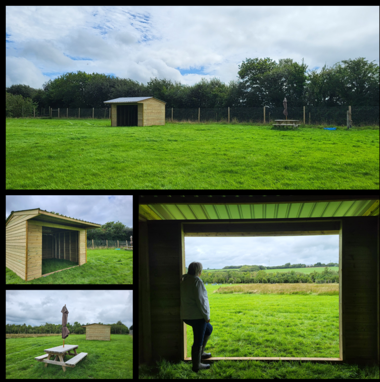 2084 2cd1f1ef2fa56434b343bae917004818 1 768x773