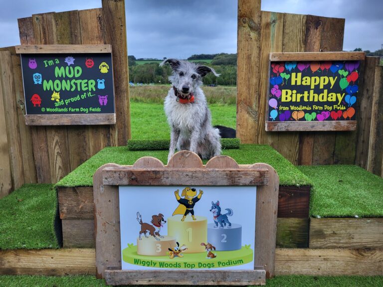 2084 32e35b3f3d38a6d634b9d5b03da314dd 1 768x576