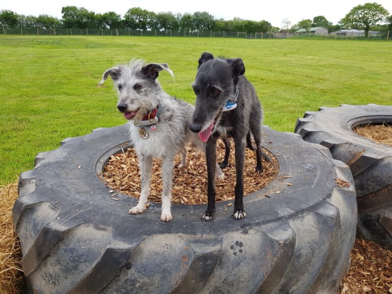 2084 4ba080e7eee2df19961e712077e20b2a 1 768x576