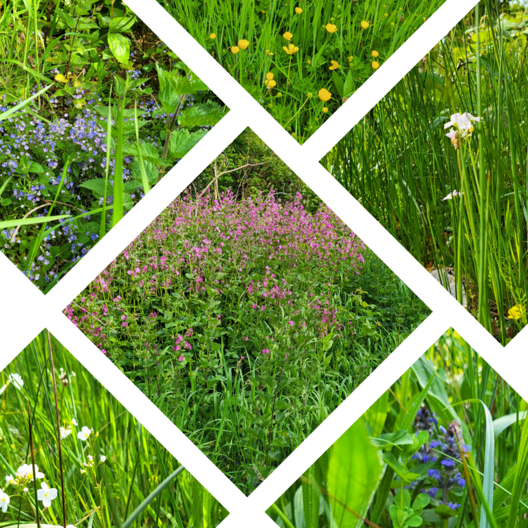 2084 7e8b94d976c065fc90c6381bdf160fc4 1 768x768