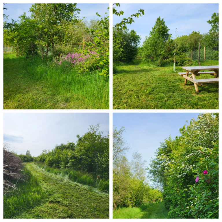 2084 afc063264a5ecde99cd23566620bad65 1 768x768