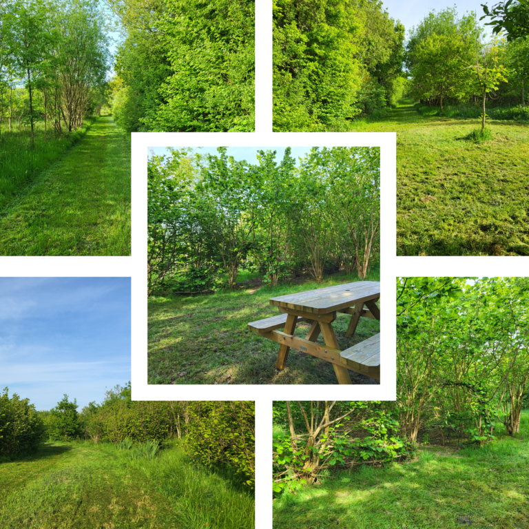 2084 bd1d58f0fcd9c72b9c91ee82017c39e3 1 768x768