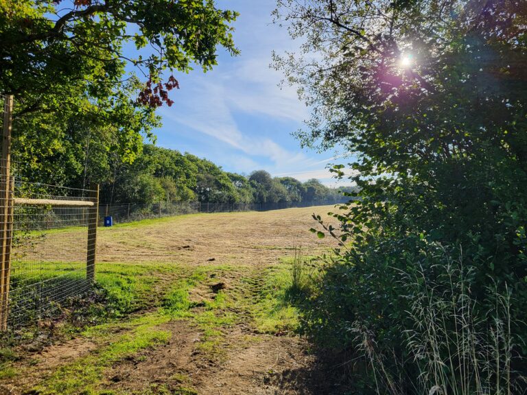 2084 d9ddd472fe12b48fb0dc2b8cdffcc79d 1 768x576