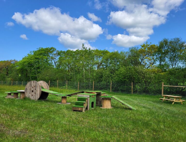 2084 e96710860b95e3ba9b895c5bee7c6836 1 768x584