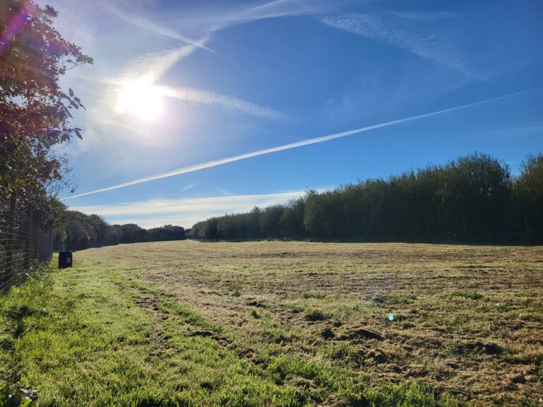 2084 e9f1ac9ba4885a18dea47518fd72bd02 1 768x576