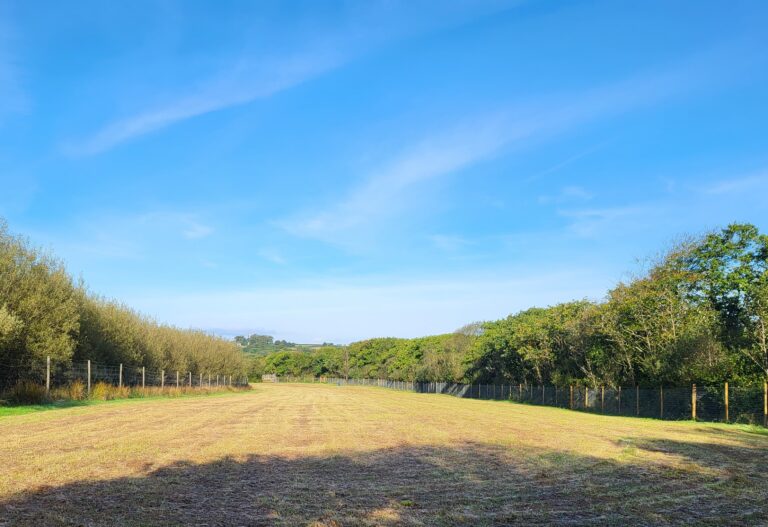 2084 f02fd15a900699dea60772cc3231de85 1 768x527