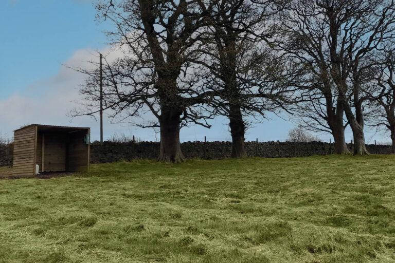 2086 d940719a052580799d067e8f5fb8afdc 1 768x512