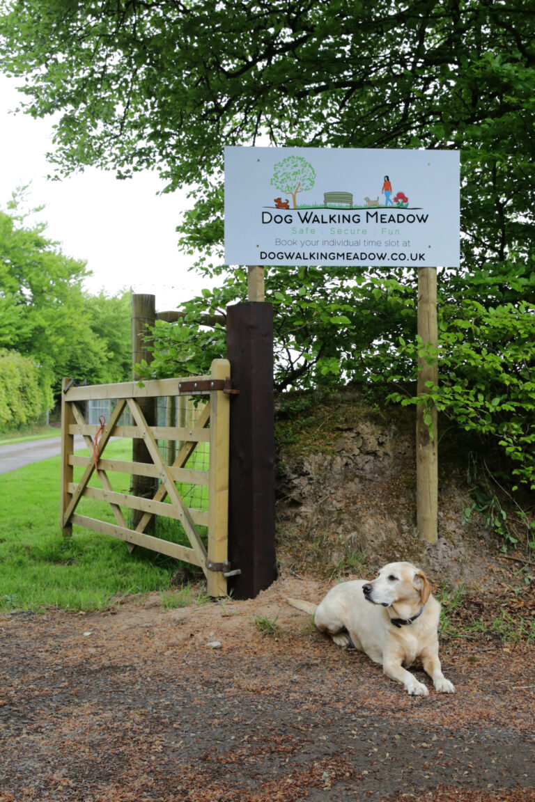 2087 68d5b7ba1f14c096e886d7b34d34951a 1 768x1152