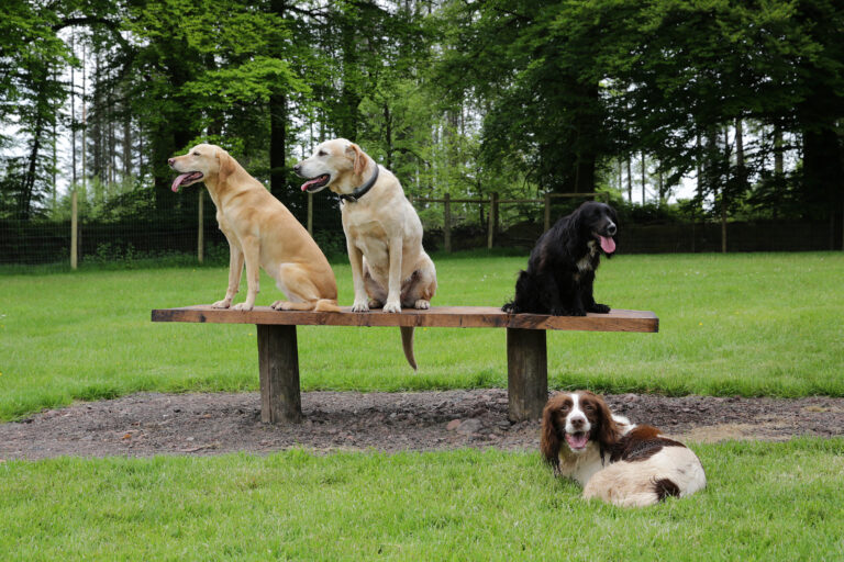 2087 9f4bab6948e7431b0120b7fa0354121b 1 768x512