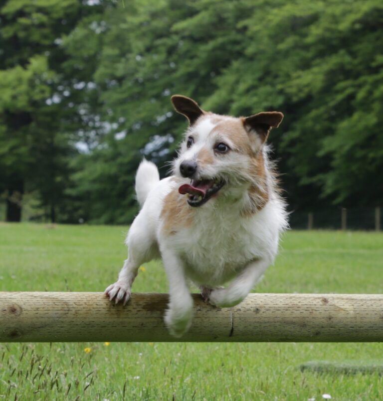 2087 b3a651f5b7b9cae3d947aefb96916d62 1 768x805