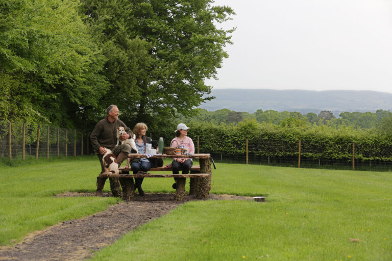 2087 d768d10699b00b9b993aa5c0db66c272 1 scaled 768x512