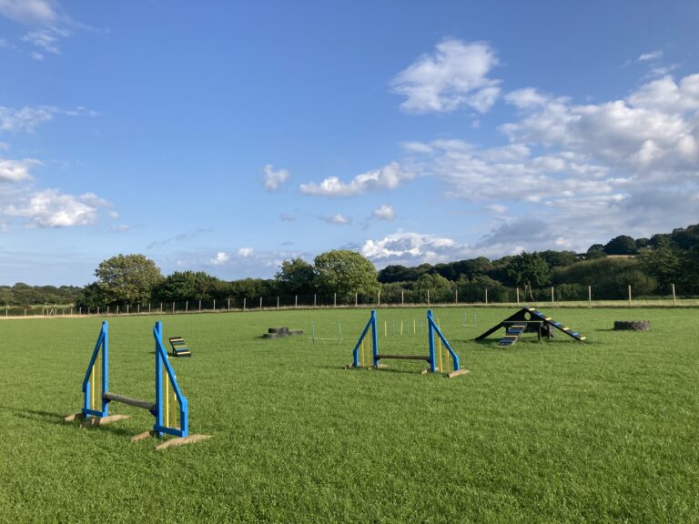 2090 59c66807bdb006a69ca186c835670cea 1 768x576