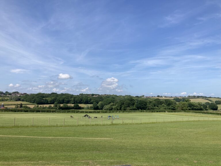 2090 63bf881e764e19600b3955a11b09a24d 1 768x576