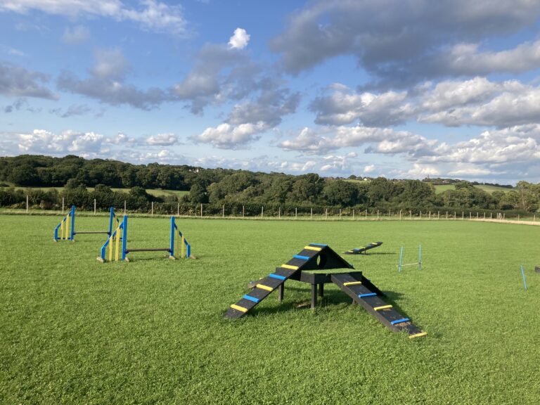 2090 6e4679baa598094d9211dfa0214684e8 1 768x576