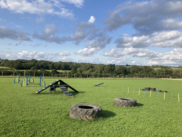 2090 c34c0486fa233d63104a8acdbca6cdf5 1 768x576