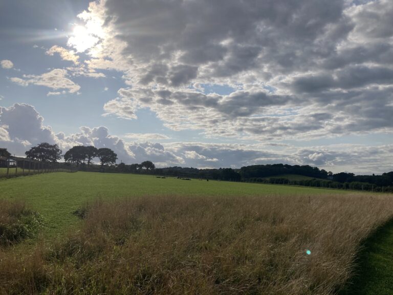 2090 c7fe1c79310d5d99268d1273c78f24f1 1 768x576